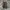 ADIDAS SPEZIAL BLACK WHITE photo 5