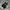 ADIDAS SPEZIAL BLACK WHITE photo 2