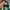 Adidas Spezial Green white photo 6