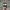 Adidas Spezial Green white photo 4