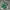 Adidas Spezial Green White