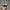 adidas Spezial Green white photo 4