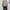 Uniqlo Minimalist Casual Bomber jacket Pria tan photo 3