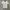Vintage 45rpm Japanese Brand Tee photo 1