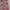 Rok motif  photo 4