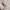 Longsleeve floral knit fullprint babytee vintage y2k photo 2