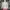 G2000 Coquette Cardigan Oneck photo 1