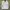 Tommy Hilfiger Denim Mini Logo White Casual Fitted Shirts