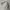 Casual Workwear Jacket Man Double Pocket Light Turquoise szL photo 5