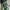 Sportswear Casual Bag Pria multicolor green photo 2