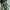 Sportswear Casual Bag Pria Multicolor Green