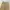 Vintage Indie Other Pria cream tan photo 4