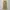 Vintage Indie Other Pria cream tan photo 3