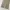 Vintage Indie Other Pria cream tan photo 4