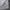 Stussy Streetwear Minimalist Sweatshirt Pria gray photo 3