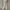 Trackpants champion spellout photo 6