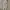 Trackpants champion spellout photo 4