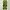 Vintage Indie Other Pria green white photo 3