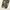 H&M Vintage Indie Other Pria green black photo 4