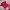 Jersey Team National Marocco Colour Red photo 3