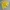 Celana Diadora Colour Yellow photo 2