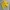 Celana Diadora Colour Yellow photo 4