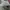 Adidas Yezzy 500 photo 5