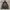 Kissmark Snowboard Tactical Pocket photo 4