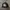 Von Dutch Big Logo Script Embroidery Snapback Hat (NOS) 