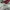 Nike Sportswear Sneakers Pria white photo 6