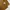 INDIAN Casual Wool Jacket photo 5