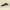 Sepatu Nike Air Zoom Pegasus 39 Men's Running photo 1