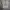 Nike AM 95 Triplewhite photo 5