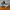 Under Armour Sportswear Sneakers Pria white black photo 1