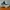 Under Armour Sportswear Sneakers Pria White Black