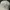 Converse Chuck Taylor Script Velvet Logo White Caps photo 4