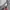 Tshirt Longsleeve Fear Of God Colour Gray photo 4