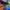 Under Armour Sportswear Sneakers Pria blue photo 7