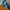 Under Armour Sportswear Sneakers Pria blue photo 2
