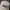 GAP Worldwide Cream 6 Panel Hat photo 3