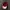 Converse All Star Script Velvet Logo Maroon Caps photo 6