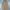 Uniqlo Casual Trench coat Wanita tan photo 1