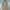 Uniqlo Casual Trench Coat Wanita Tan