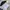 Tshirt Polo Oakley Colour Black, Gray, White photo 3