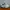 Skechers Sportswear Casual Sneakers Pria White