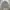 Chore Jacket Hickory Double Pocket photo 7