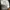 Levi’s 505 Regular Fit – straight fit photo 5