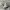 New Balance 550 White Black photo 1