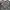 Knitwear Full Motif Pool Studio Alivier photo 2