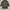 Kiton fur coats photo 8